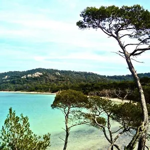 Ile De : T3 Climatise Vue Porquerolles